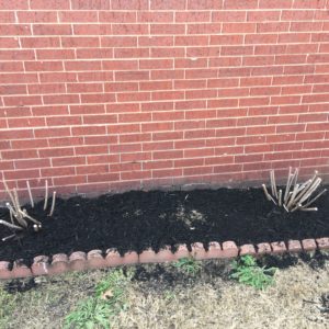Spring Cleanup 2017